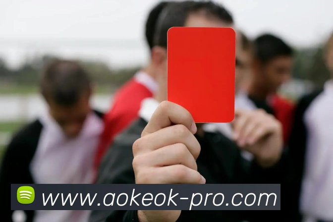 aoke(AOKE)官方授权体育信息服务中心平台生态图