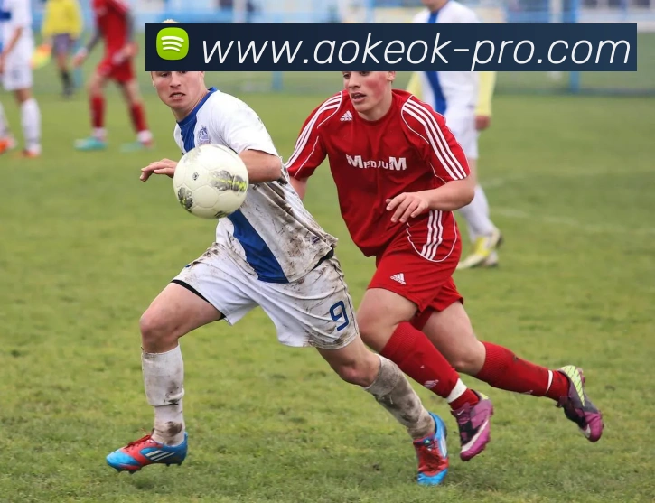 aoke(AOKE)官方授权体育信息服务中心APP 高清赛事图